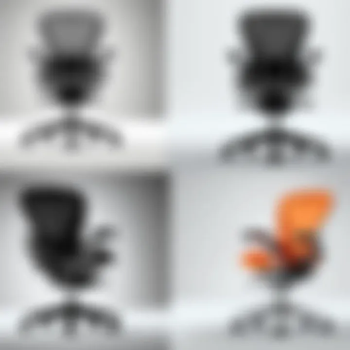 Comparison of chair designs and colors