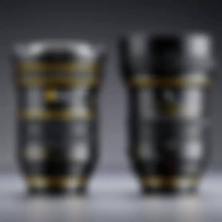 Comparison of various Nikon macro lenses side by side