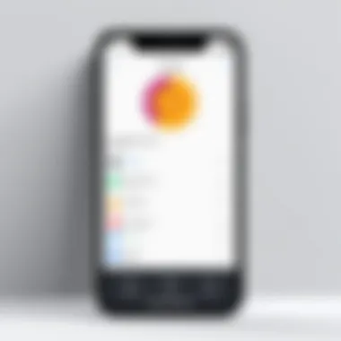 Screenshot of a popular third-party app used for blocking applications