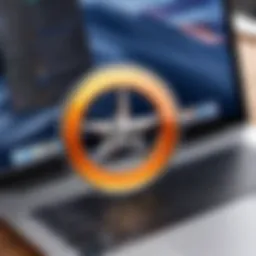 Visual representation of a MacBook Pro disk cleanup tool