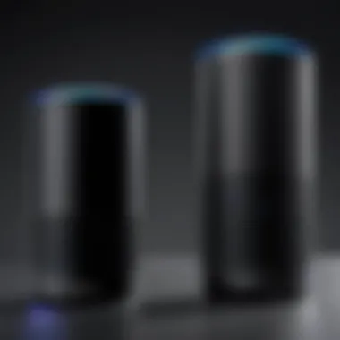 User interface display of Alexa versus Google Assistant on devices