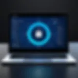 A graphical representation of online privacy