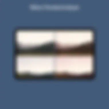 Comparative Analysis of Image Quality A side-by-side comparison of images taken with and without the Nikon 85mm Micro lens.
