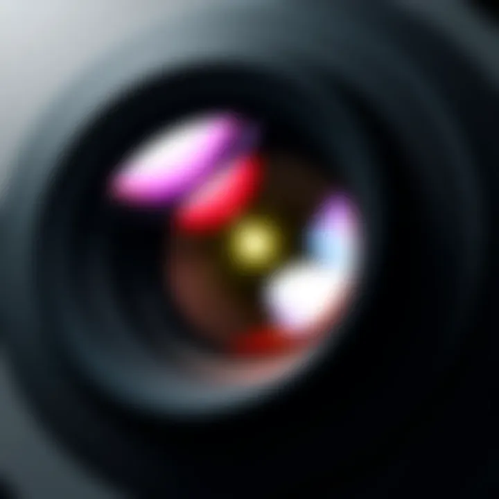 Stellar Optical Quality in Photography A photograph captured using the Nikon 85mm Micro lens displaying excellent optical quality.