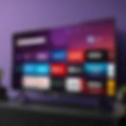 Roku Smart TV app user interface showcasing various features