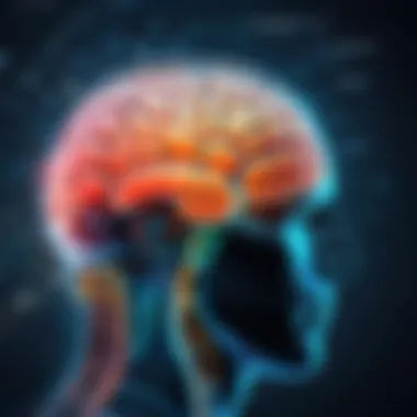 Innovative Applications in Brain Mapping Innovative applications of brain mapping technology