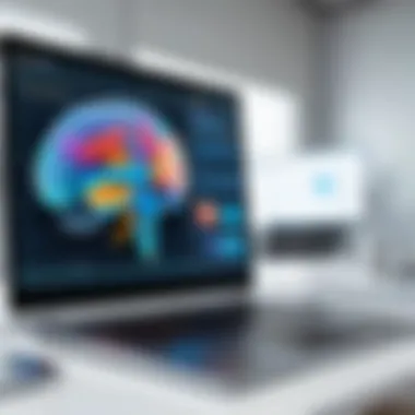 Software Interface Demonstration Graphical interface of brain mapping software