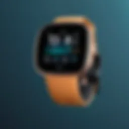 Exploring the Capabilities of Fitbit Versa 3 Introduction