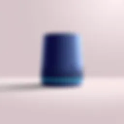 The Roku Smart Speaker showcasing its elegant design