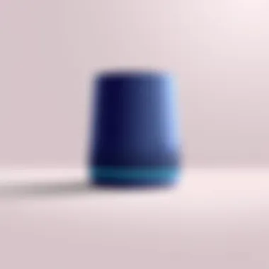 The Roku Smart Speaker showcasing its elegant design