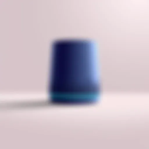 The Roku Smart Speaker showcasing its elegant design