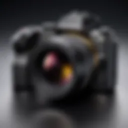 Exploring the Sigma 16 for Sony Cameras Introduction