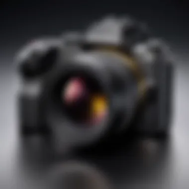 Exploring the Sigma 16 for Sony Cameras Introduction Exploring the Sigma 16 for Sony Cameras Introduction