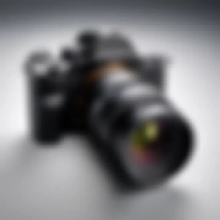 Notable Exploring the Sigma 16 for Sony Cameras