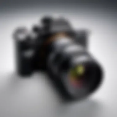 Notable Exploring the Sigma 16 for Sony Cameras Notable Exploring the Sigma 16 for Sony Cameras