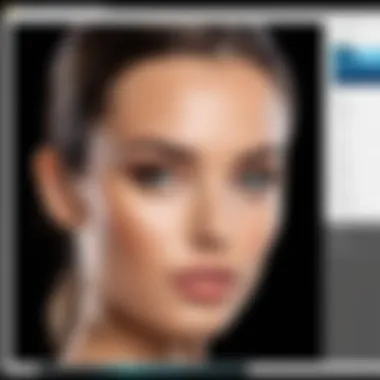 Topaz Sharpen AI Interface Overview Overview of Topaz Sharpen AI interface