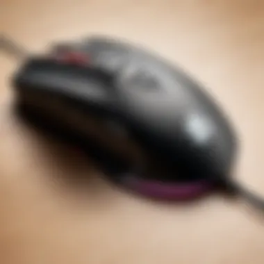 Customizable features of a gaming mouse displayed