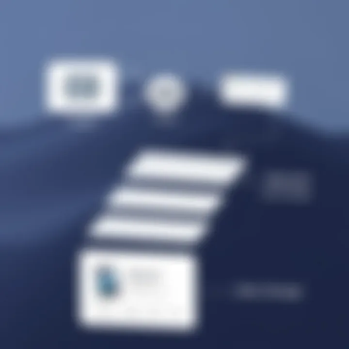 Visual representation of MacBook storage categories