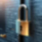 A conceptual representation of digital encryption with a padlock and photos