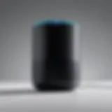 A smart speaker showcasing voice interaction capabilities