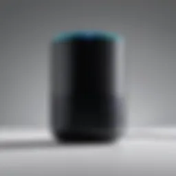 A smart speaker showcasing voice interaction capabilities